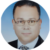 استاذ دكتور/ ابراهيم حسين