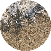 رحمة المغيني