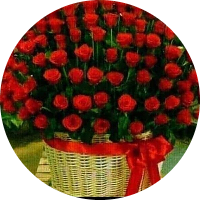 محمد عبدالحميد